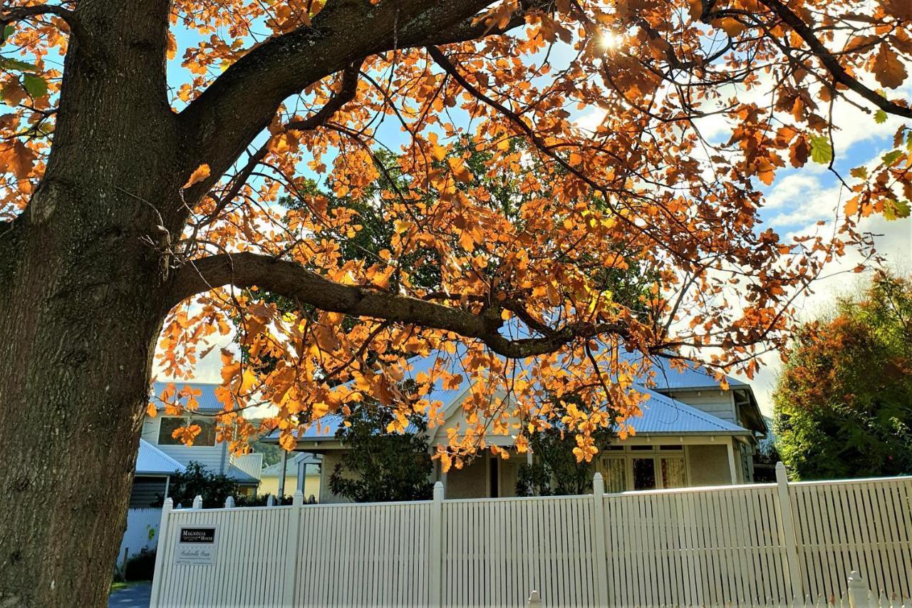 Healesville House - Magnolia House Buitenkant foto